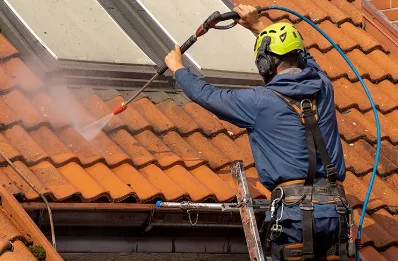 Démoussage et hydrofuge de toiture à Dombras